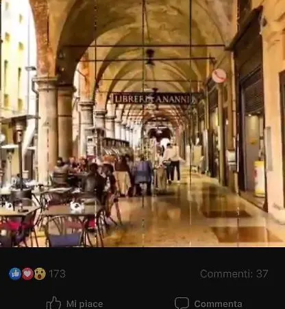 Domus Dotta