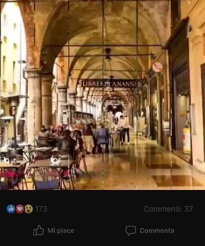Domus Dotta